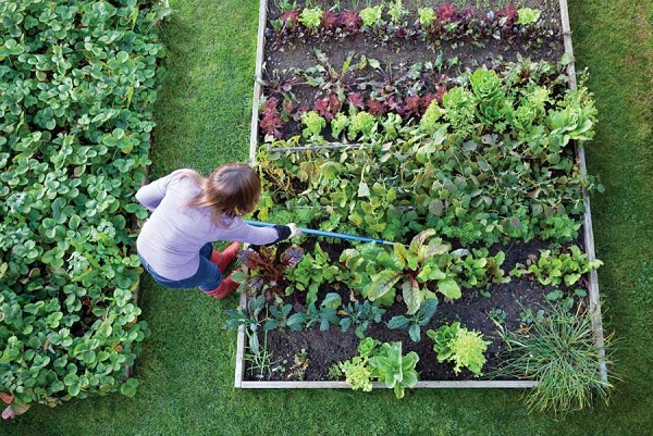 SIMPLE GARDENING TIPS YOU CAN FOLLOW IN 2021